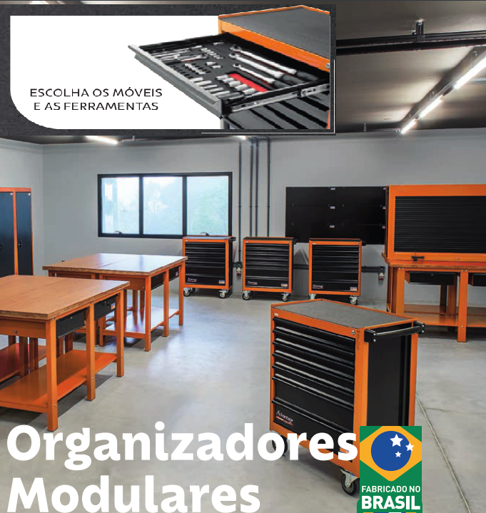 Organiz-modular1a.png